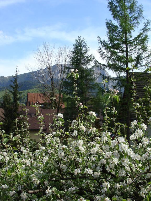 Holiday Home Patchwork Barn Zakopane Exterior foto